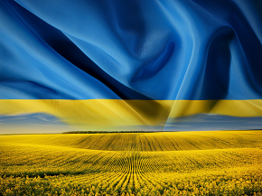 Привітання т.в.о. Голови Державного агентства з управління резервами України Наталії Кічук з Днем Державного Прапора України